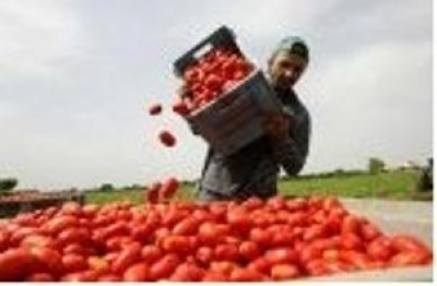 Regolarizzare chi già lavora in Italia