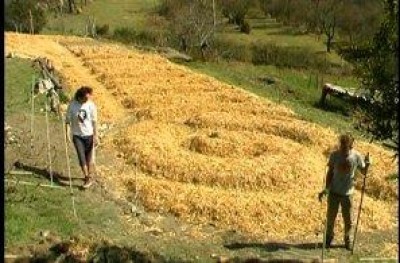 La quarta opzione per la futura Politica Agricola Comune (PAC)