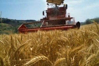 Riforma PAC. Boneschi (Provincia di Lodi):  Monti va in giro per l' Europa  e si dimentica l'importanza dell'agricoltura per il nostro  Paese