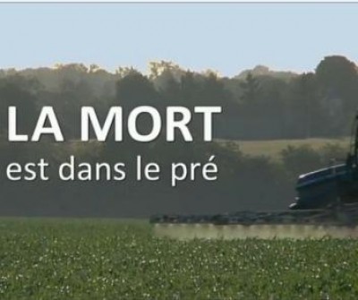 Film documento La mort es dans le prè 