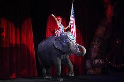 Le proteste di decine di cittadini contro il circo a Rivolta d'Adda