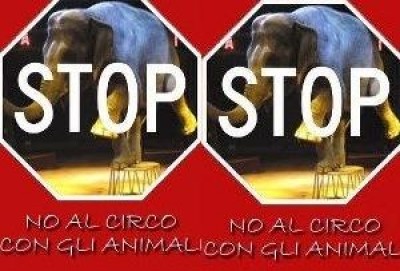 Le proteste per il Circo a Rivolta d'Adda