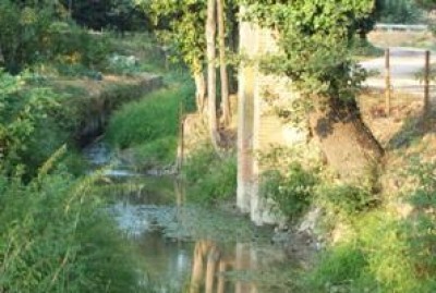 Rispetto dell'ambiente | F.Lena