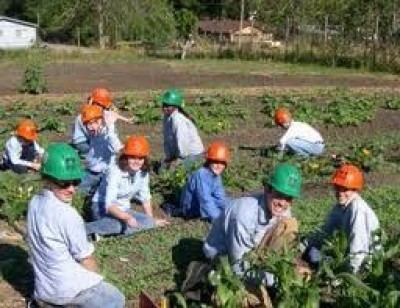 SCUOLA: COLDIRETTI, AL VIA LEZIONI IN CAMPAGNA PER UN MLN DI BAMBINI