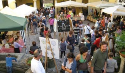 Grande successo per la “Festa delle api” di Erba
