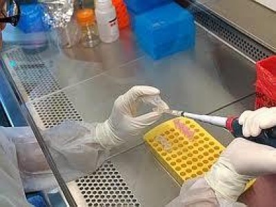 Centro procreazione assistita.Perri non risponde.Il PD insoddisfatto