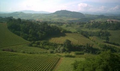 IL VINO DEGLI ISIMBARDI 