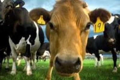 A Cremona il primo European Dairy Forum
