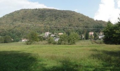 Escursione guidata nei boschi a Luino