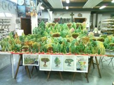 Lodi.Una foresta di ceramica