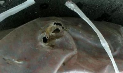 I sacchi di amianto bucati. Ecco le discariche sicure..