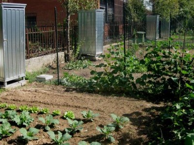Lodi.Orti urbani in zona Selvagreca e Caselle
