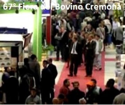 Cremona.Le video interviste della 67° Fiera del Bovino