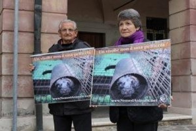 Proteste contro gli allevamenti di visoni - Commessaggio e San Cataldo