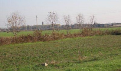 Parco Adda Sud:stop al consumo di suolo nei prossimi 10 anni