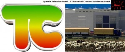 Querelle Telecolor-Arvedi. Il Tribunale di Cremona condanna Arvedi.