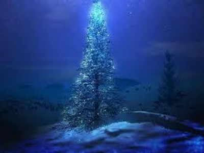 “IL PIANETA DEGLI ALBERI DI NATALE”