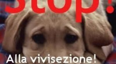 Firma contro la Vivisezione