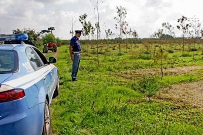 Cancellare le colture alimnetari nei terreni tossici.Petizione