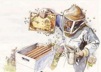 Cremona.Corso di apicoltura