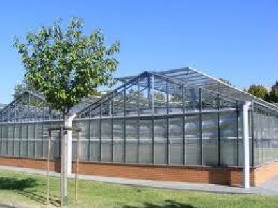 Milano.Ripartono i corsi per piccoli giardinieri