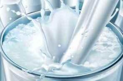 QUOTE LATTE: COLDIRETTI, DOPO 3 ANNI TORNA RISCHIO MULTE DA 40 MLN