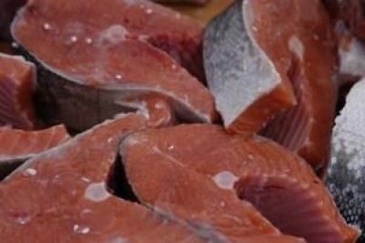 Il salmone mutante