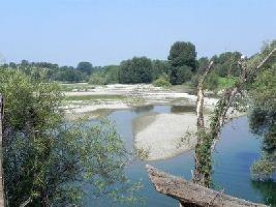 PARCO ADDA SUD: Carte in Regola 