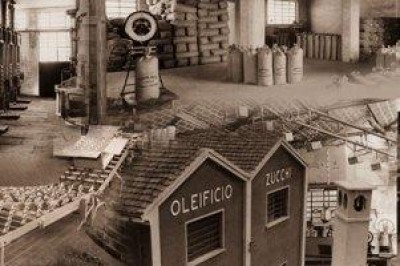 Intervista a Jonathan Canova, stagista presso l'Oleificio Zucchi