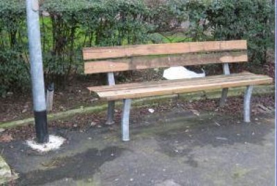 La riqualificazione dei giardini di P.zza IV Novembre a Cremona | LUCI