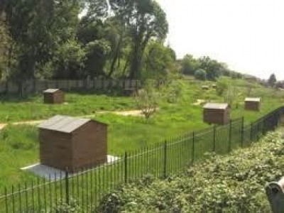 Lezioni nell’orto e visita alle cascine di Milano