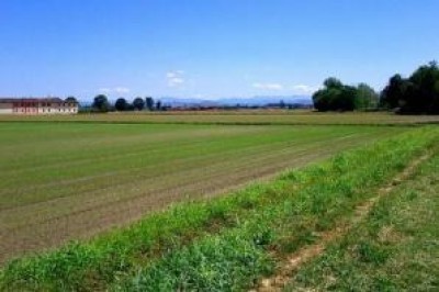 Per un'agricoltura che produca cibo e ambiente sani