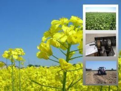 Biocarburanti e certificazione. come ottenere gli incentivi