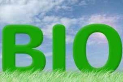 BioEnergy Italy: il business delle rinnovabili continua la sua corsa, ma a patto che proponga soluzioni innovative.