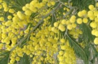 8 MARZO - DONNE E HIV