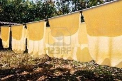 Lattice di gomma ed allergie