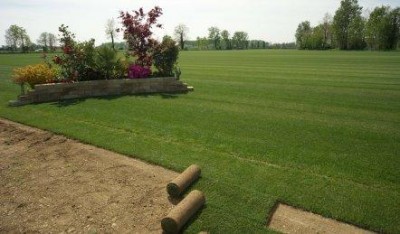 Ecorotolo con certificazione di qualità
