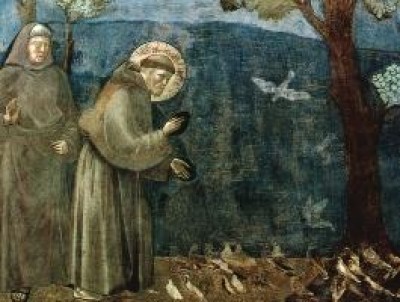 Papa Francesco: un ritorno alla Chiesa di Cristo |RAR