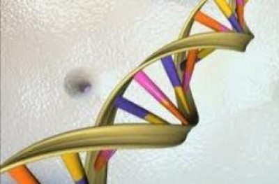 Street golf per la ricerca sulla SLA