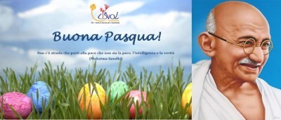 InformazioniCisvol n.24 del  28-03-2013