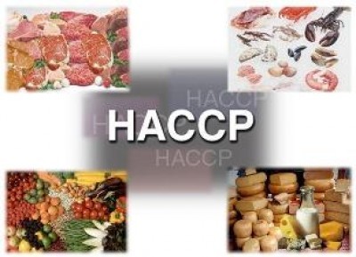 Al via un nuovo corso Haccp