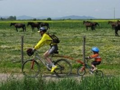 BICICLETTATA VILLE ACCERCHIATE DAL CEMENTO-PARCO