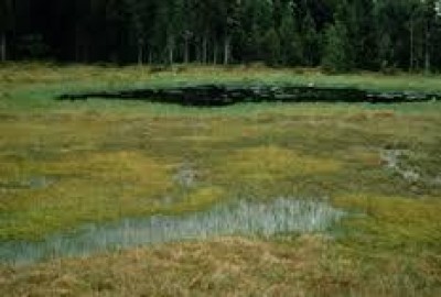 Coldiretti Cremona: Agricoltura, gravissimi danni a causa del maltempo