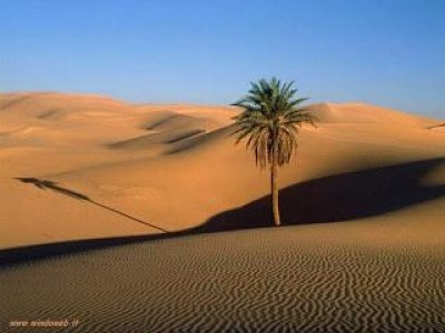LA NASCITA DEL DESERTO