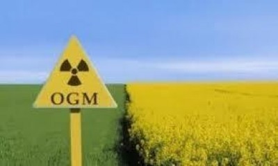 OGM: AICS, GIA' PERSO 75% BIODIVERSITA'