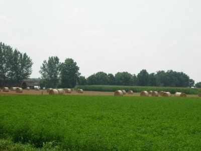 Spineda. Dibattito su AGRICOLTURA, TRA CRITICITA’ ED OPPORTUNITA’.