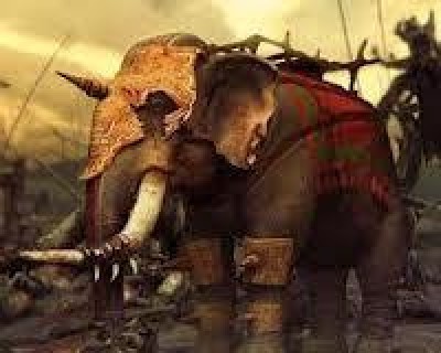 LA GUERRA DELL’ELEFANTE |A.Spataro