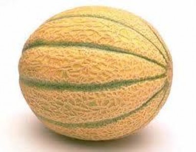 Saperi e sapori tra Oglio e Po: tappa a Casteldidone per la festa del Melone