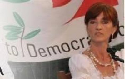 Decreto Eco-bonus, il commento di Cinzia Fontana (PD)