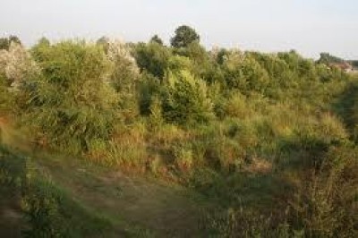 Foreste accessibili. Foresta Corni di Canzo Canzo (CO)